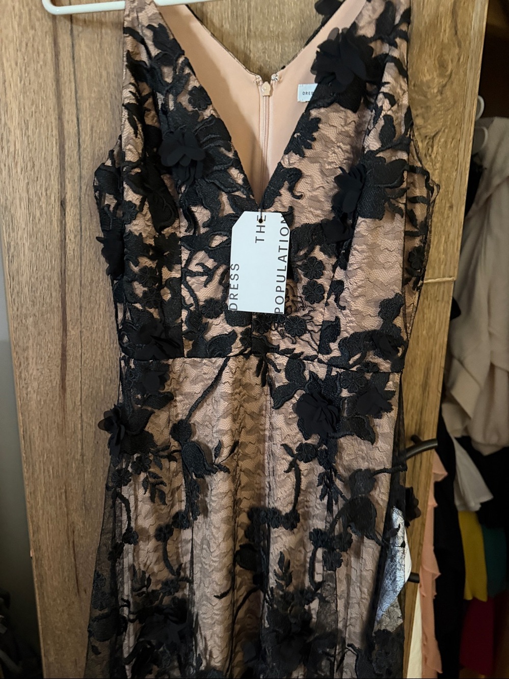 Dress the Population Black Floral Appliqué Maxi over Nude - Picture 2 of 3